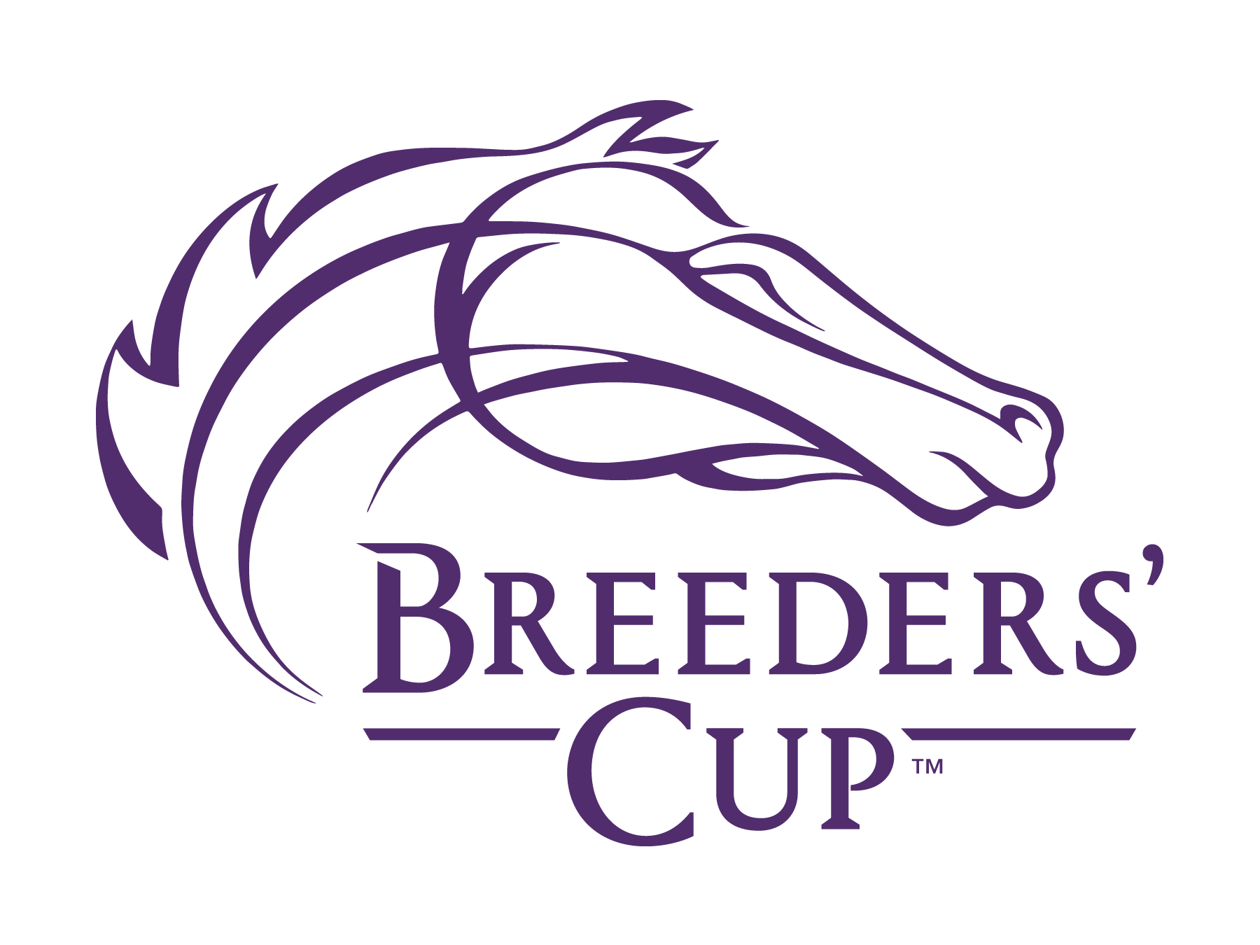 Breeders_Cup_Identity_Purple_269.png